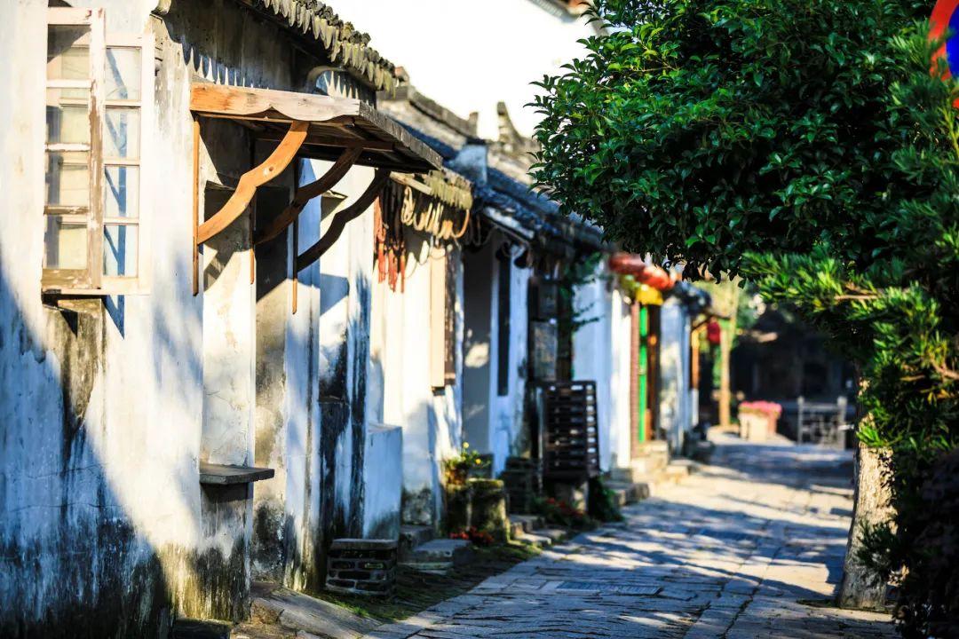 刺客信条：枭雄